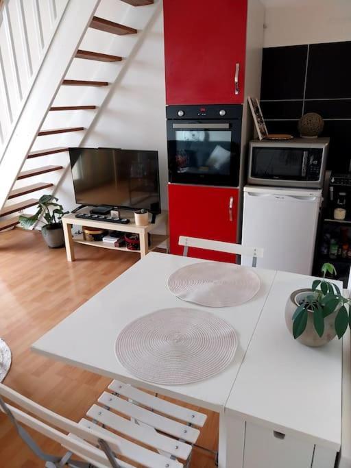 Duplex Aux Minimes * Toulouse
